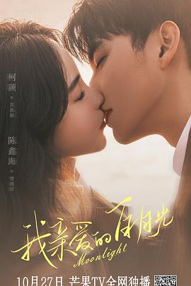 seo优化内容有哪些seo顾问